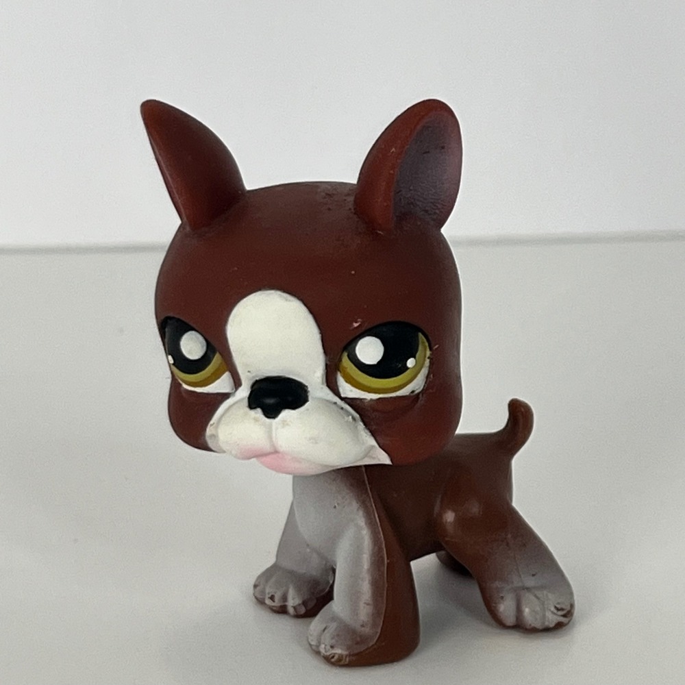 Hasbro Littlest Pet Shop 117 Boston Terrier‎ Brown White Green Eyes Pink Magnet
